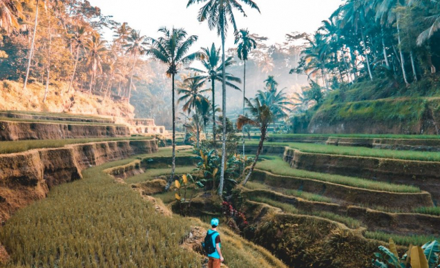 jamie-fenn-WdQuEEJe-O0-unsplash-1024x900