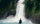 stefan-stefancik-0wMmxNB6Xzc-unsplash-768x768